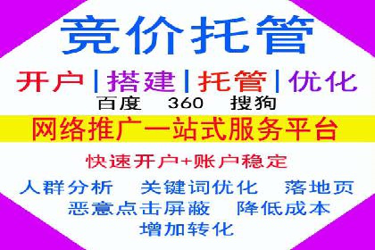 SEM优化策略：实战案例解析